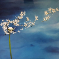 Paardenbloem