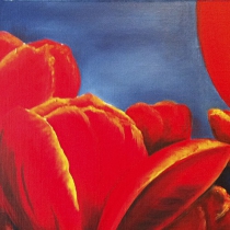 Tulpen