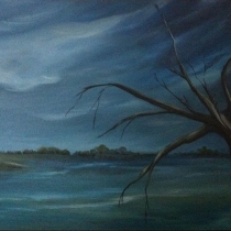 Landschap & boom