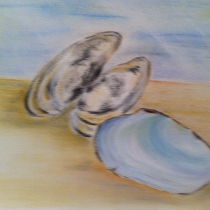 Schelpen