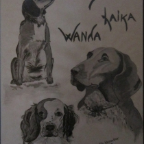 Onze honden